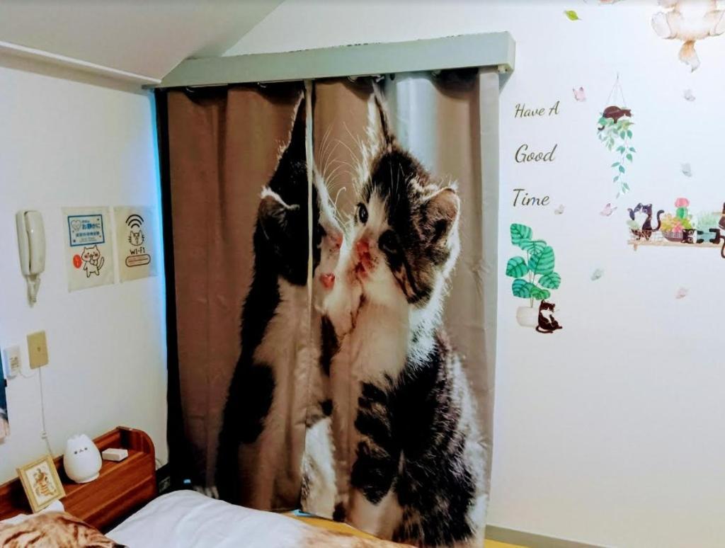 Tokyo Shibuya Shinjyuku Cat House ! Apartment Luaran gambar