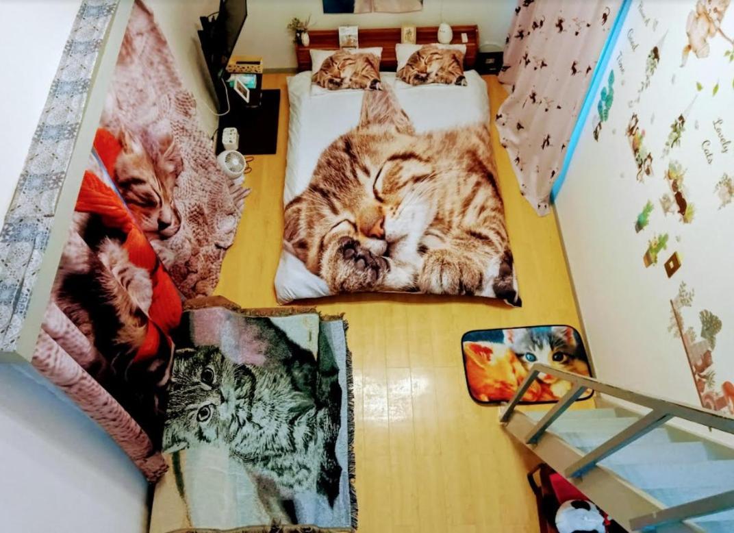 Tokyo Shibuya Shinjyuku Cat House ! Apartment Luaran gambar