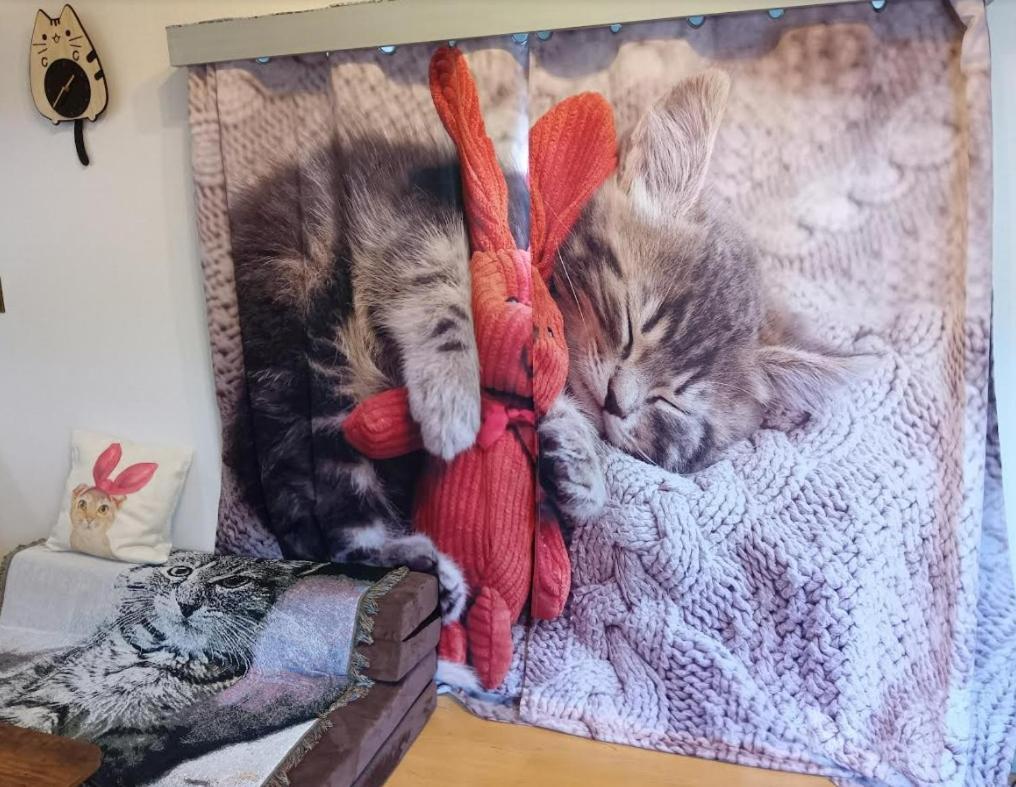 Tokyo Shibuya Shinjyuku Cat House ! Apartment Luaran gambar
