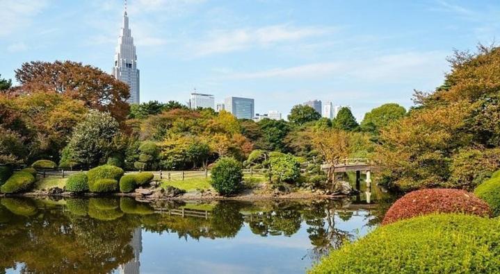 Tokyo Shibuya Shinjyuku Cat House ! Apartment Luaran gambar