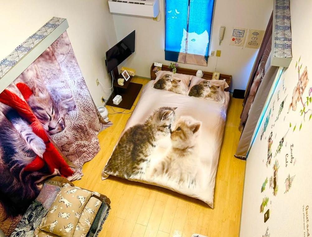 Tokyo Shibuya Shinjyuku Cat House ! Apartment Luaran gambar
